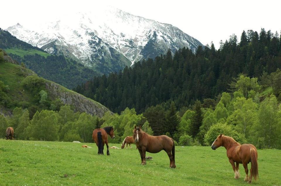 Pensio La Creu Hotel Естери д'Анеу Екстериор снимка